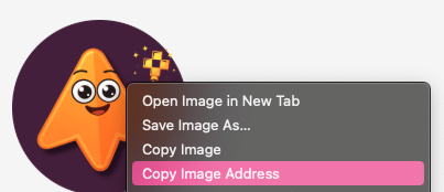 Adding Media to your Questions - copy image address