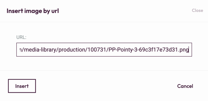 Adding Media to your Questions - image button