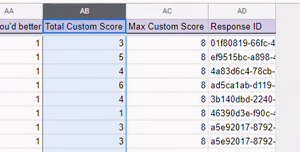 13_sheet1-total-custom-score-column