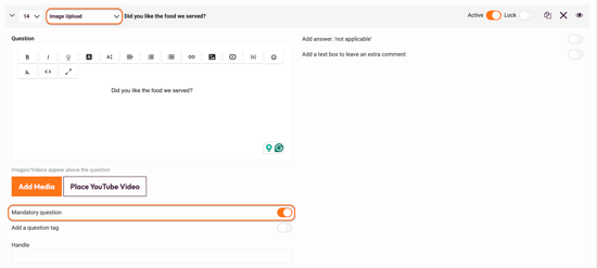Media & variables - Upload an Extra Image File - image upload question type