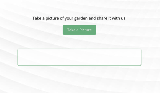 Question types - Image Upload - Image Upload example